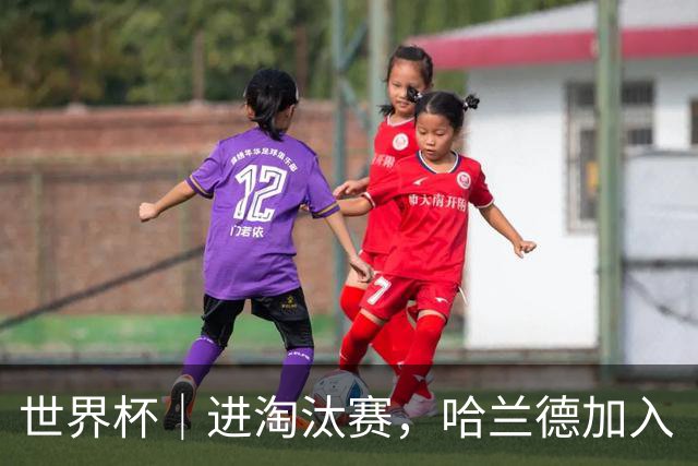 世界杯｜进淘汰赛，哈兰德加入“维京划船”