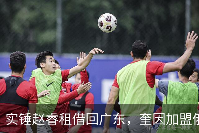 实锤赵睿租借回广东，奎因加盟俄罗斯联赛，王少杰买断传闻被戳穿